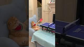 VID 37860704 063350 845