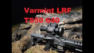 AGM Varmint LRF TS50 640 Review