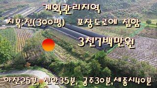 46번 충남 공주시 유구읍 덕곡리 농지입니다 전원주택매매 전원주택지매매 농가주택매매 시골집매매 토지매매 싼땅전문저렴한토지매매 급매물전문 공주대우부동산 귀농귀촌/공주부동산 유구부동산