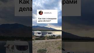 Живем в автодоме в Киргизии #автодом #travel #camping #природа