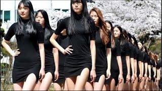 Korea's Pleasure Squad