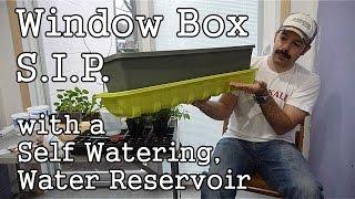 Homemade Self Watering, Sub-Irrigated, Window Box SIP, with a Water Reservoir