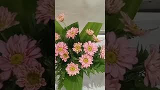 cara merangkai bunga sederhana