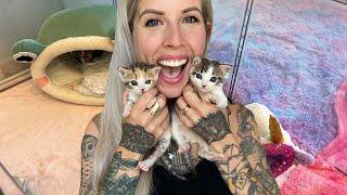 Get Ready with Me as I Meet My New Foster Kittens!