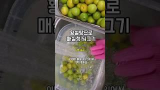 해마다 6월이면 담그는 매실청 황설탕으로 담그면 색이 진해져요 한해는 백설탕 한해는 황설탕 #매실 #매실담그기 #매실청맛있게담그는법 #매실청만들기 #매실청담그는법 #집밥언니야매실