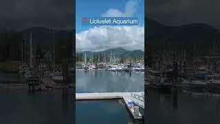 5 things to do in Ucluelet, Vancouver Island