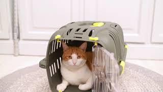 Jet pet carrier from Ferplast