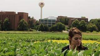 My Plant Path: Former Undergraduate Marissa Scherven