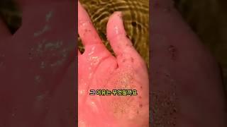 절대로 해변 모래 속에 자신을 묻지 마세요