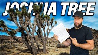 JOSHUA TREE’S new AIRBNB regulations 2022 - everything you need to know