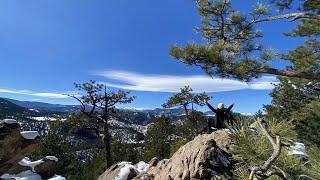 PANORAMA POINT TRAIL IN CORWINA PARK. Day Hikes near Denver #hiking #colorado