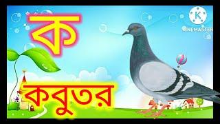 ক তে কবুতর | ক কবুতর | ক খ গ ঘ | ক খ গ ঘ ঙ বাংলা song | অ তে অজগর | অ আ ই ঈ song | অ আ ই #kidssong