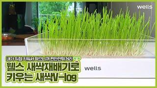 웰스 새싹재배기 V-log