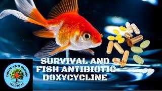 Antibiotic Doxycycline