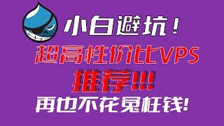 小白避坑！绝对超高性价比的VPS推荐