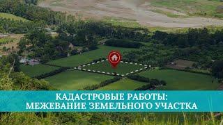 Кадастровые работы: межевание земельного участка