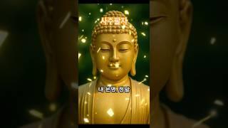 사주팔자에 관한 #부처님말씀 #사주팔자 #운명 #업보 #노력 #인연 #자기계발 #행복