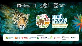 Perú en la COP16 | Biodiversidad y empresas