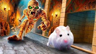 Hamster Maze Adventure: Lost Treasure of the Egypt Pyramid