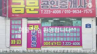 금문공인중개사 사무소