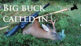 RoeStalker's roe rut 2013: Big buck called in and shot.