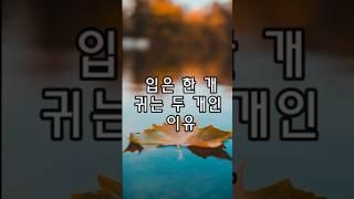 귀가 두 개인 이유 #적게말하고많이듣기#귀가두개인이유#shorts