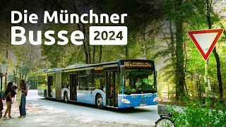 Die Münchner Busse bei der MVG 2024