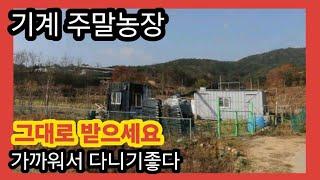 1377#바로배추.상추 심으소#영상제작010-3378-6494