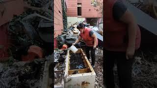 Работа с аукционными домами в Германии, спасибо за подписку