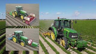 Growing carrots - harrowing, powerhilling, driling and cultivating - John Deere 7710, 6410, 6230. 4K