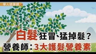 【華人健康網】健康小學堂 - 白髮狂冒、猛掉髮？營養師：3大護髮營養素