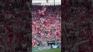 #FCKöln fans singing #bundesliga #fccologne