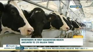 Investments in west Kazakhstan region amounted to 270 bln tenge  - Kazakh TV