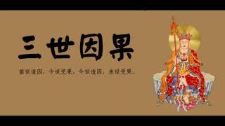 现代因果实录（一）01缘起