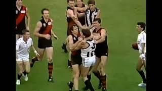 Brian Taylor Meltdown triggers AFL Fight/Melee/all-in brawl