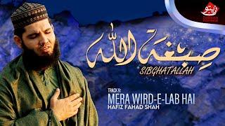 SIBGHATALLAH: HAFIZ FAHAD SHAH | TRACK 9 | MERA WIRD-E-LAB HAI