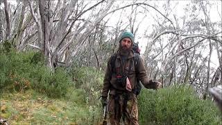 hilldogTV snowgrass sambar solo session