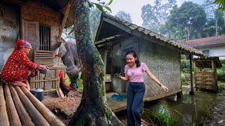 Wah.. Seenak Ini, Suasana Damai Di Desa, Tentram Hidup Di Kampung Indah, Suasana Pedesaan Jawa Barat