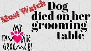 Dog died on her grooming table (Discussion - get the DogUp Stand today)