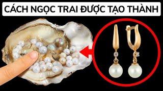 Tại Sao Hàu Tạo Ra Ngọc Trai Và Như Thế Nào?