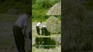 Bringing the hay home  - Traditional Hay making in Ireland