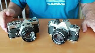 Olympus OM-1 vs Pentax MX