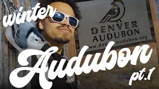 FIRST EPISODE! - Birding the Denver Audubon Center! | Lets Go Birding | part 1