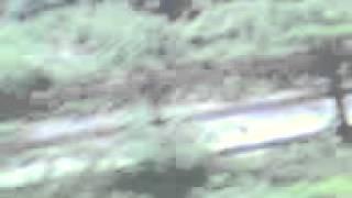 X viideo Incredible Indian Nature Siliguri to Chalsa