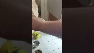 Super Cling Part 1