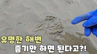 낮에가면 정말 줍줍한다는 해수욕장이 있다고?!  ft.하나개해수욕장