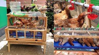 CHICKEN CAGE |DIY