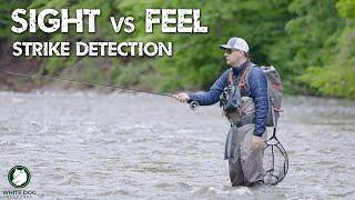 The Truth About Strike Detection - SIGHT vs FEEL - Euro Nymphing