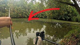 It Didn't Go To Plan! | Live Match Fishing 2024