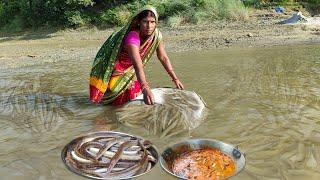 amazing big bami fish catching in river ! fish big Bami cooking and eating in village,fishing video,